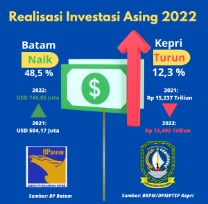 Grafis Realisasi Investasi Asing Kecil